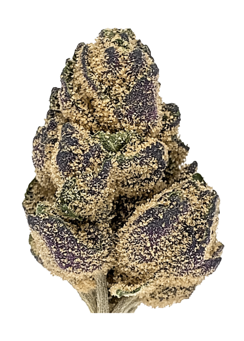 Grape God