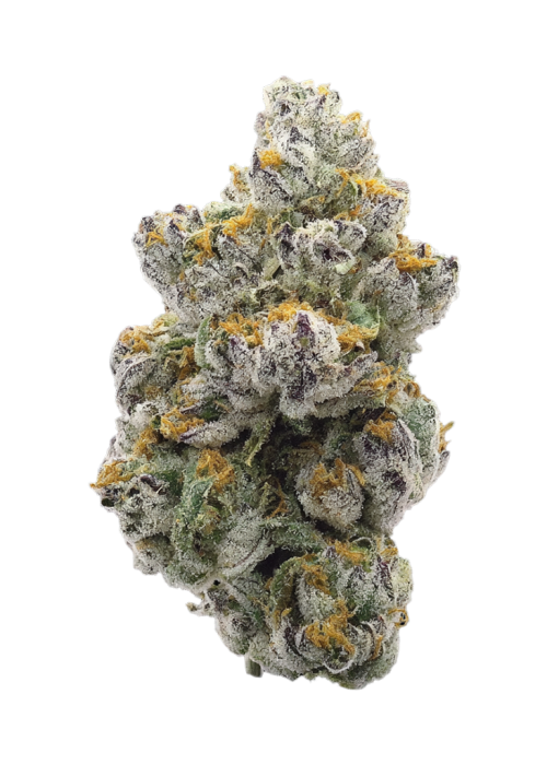 Dough Nutty