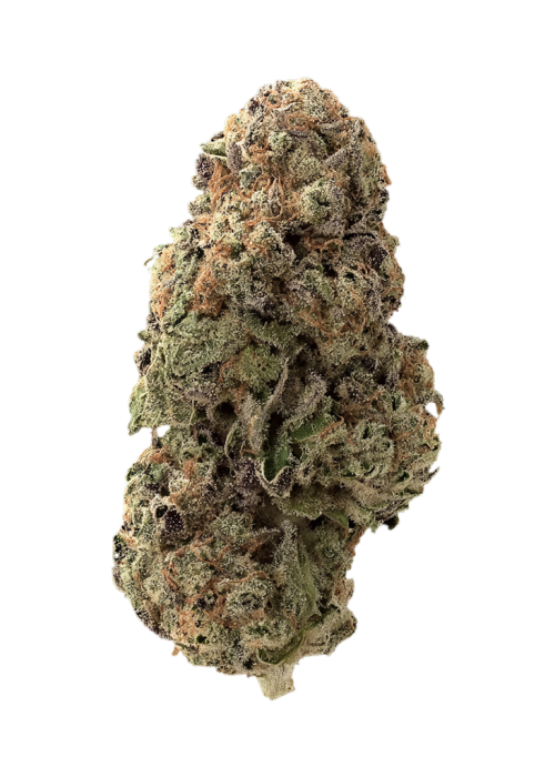 Big Ripper