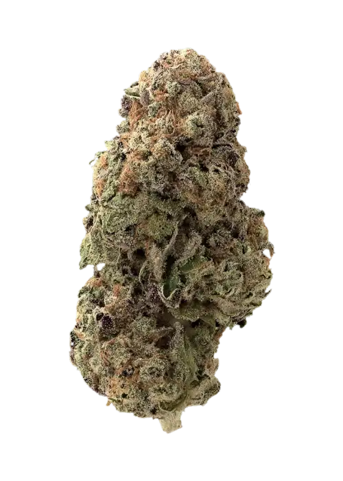 Big Ripper