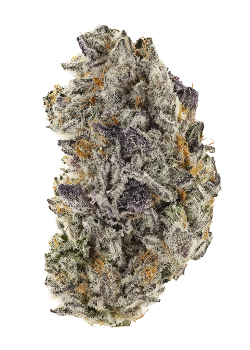 Razzberry Rocket