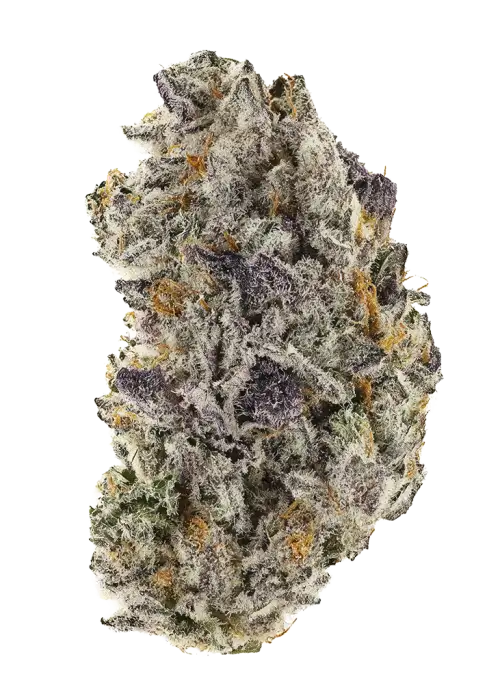 Razzberry Rocket