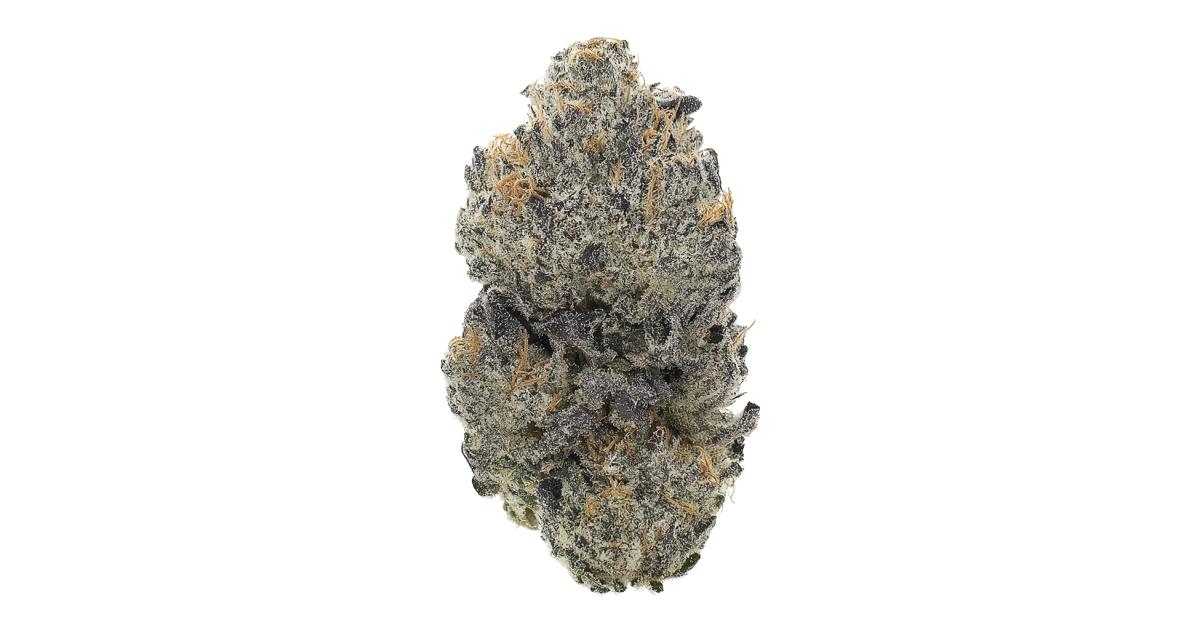 GMZ Cannabis Strain Information - GrowDiaries
