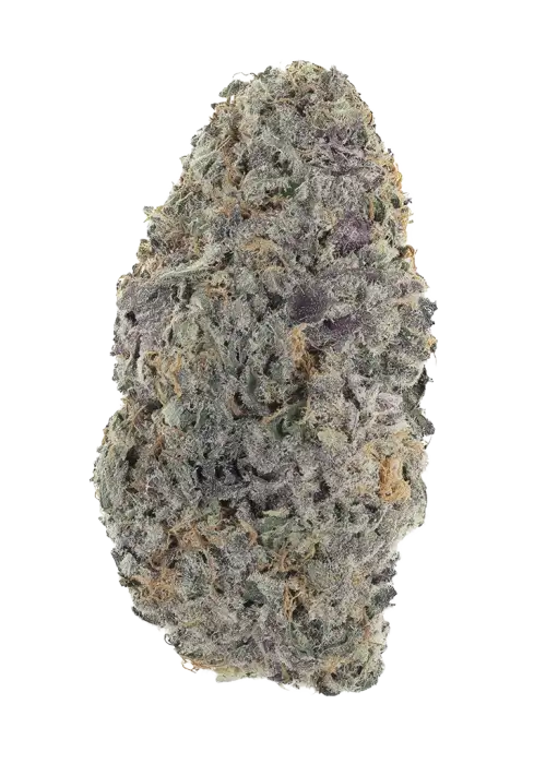 Crunch Berriez X John Truffolta