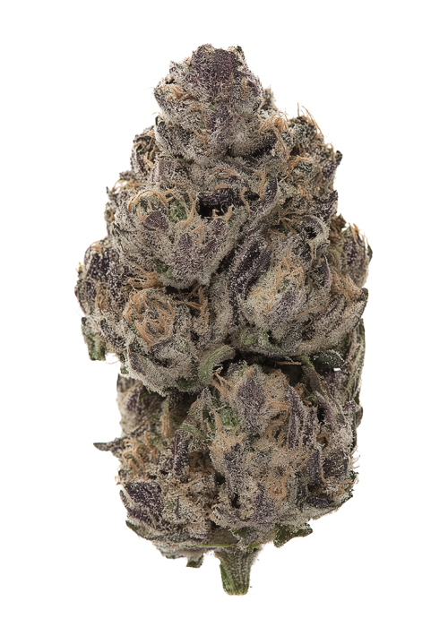 Zoap Sour