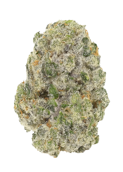 Black Cherry Pie by In House Genetics