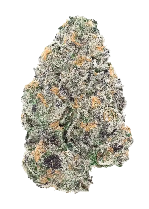 Juice Pack