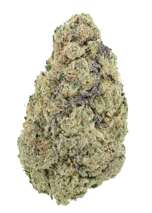 Surf Wax