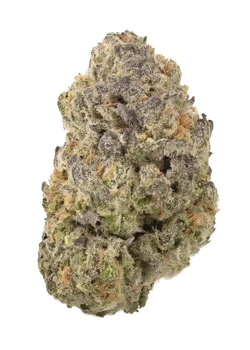 Sour Headies