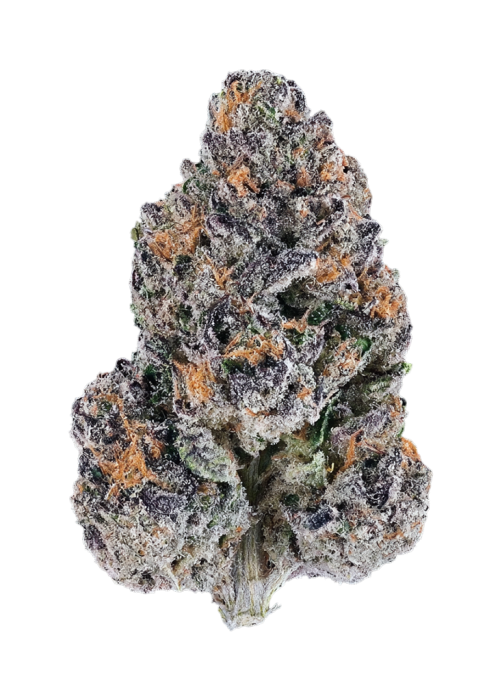 Bacio Breath