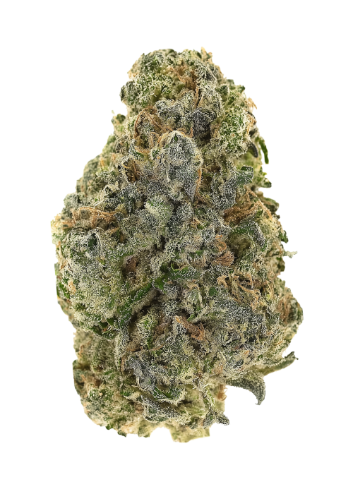 Frosted Skoochie