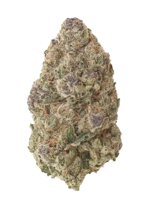 Slurmint IX