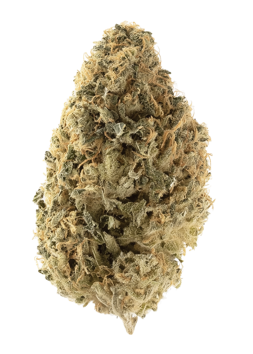 Sour Kush Breath