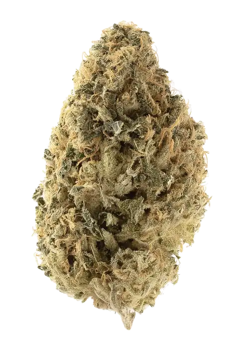 Sour Kush Breath