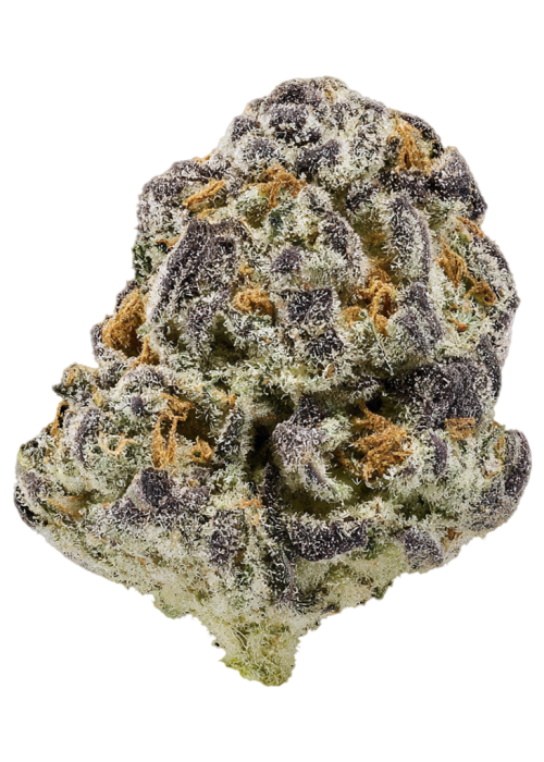Apple Jax