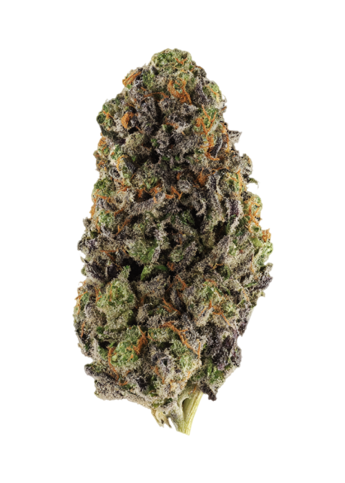 Black Cherry Slur-P