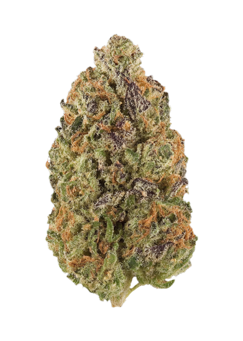 Cherry Lime Bubba