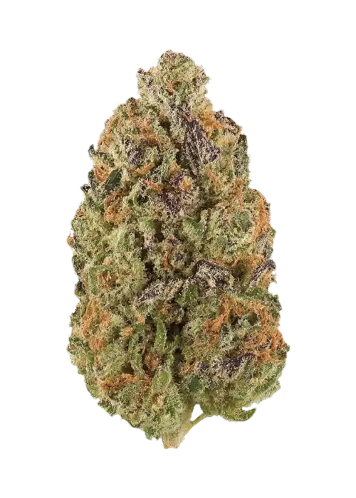 Cherry Lime Bubba