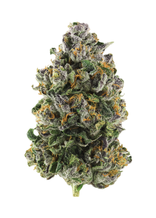 Black Cherry Breath