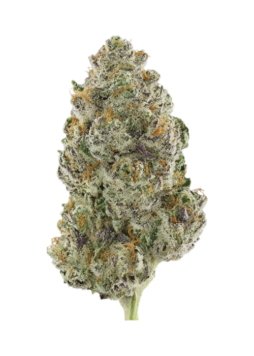 Royal Juicy