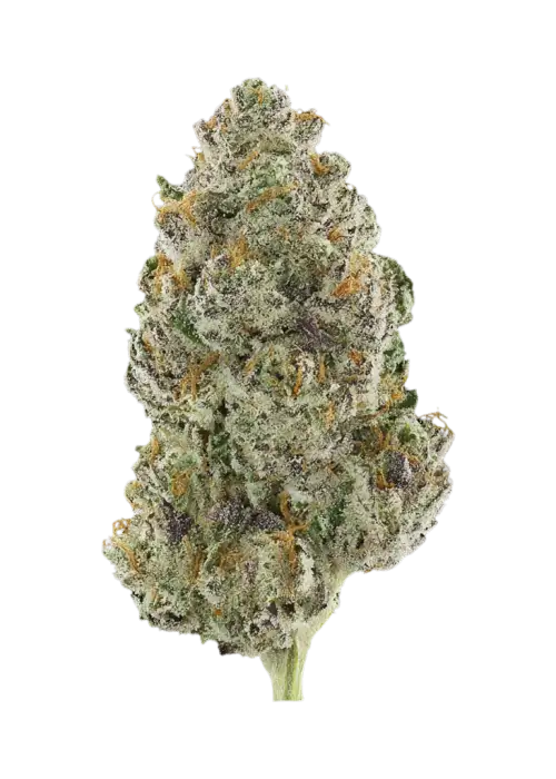 Royal Juicy