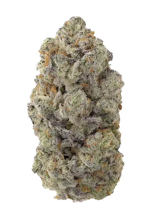 Do-lato V2