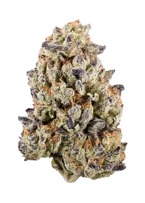 Red Cherry Headies