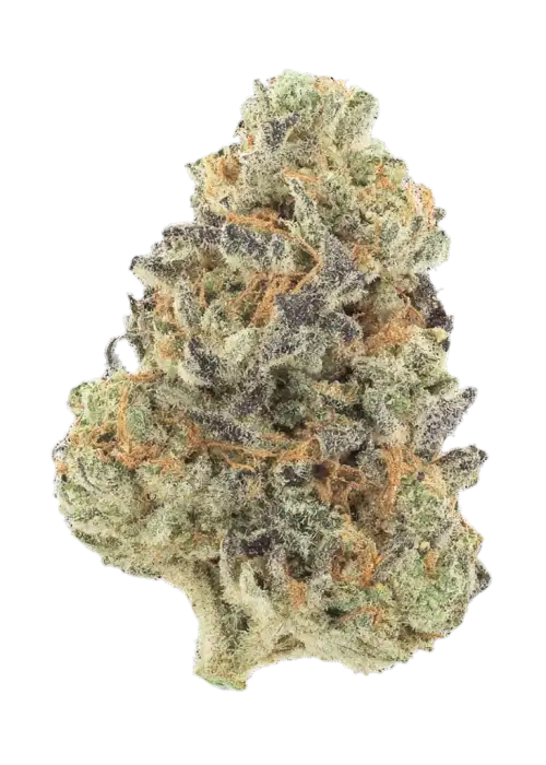 Super Lemon Sunset