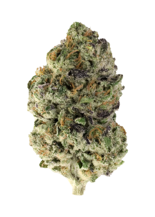 Blackcherry Sherb