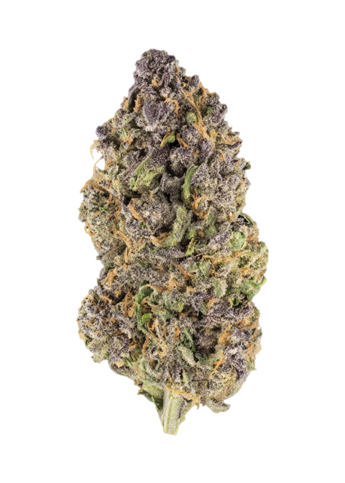 Cherry Breeze