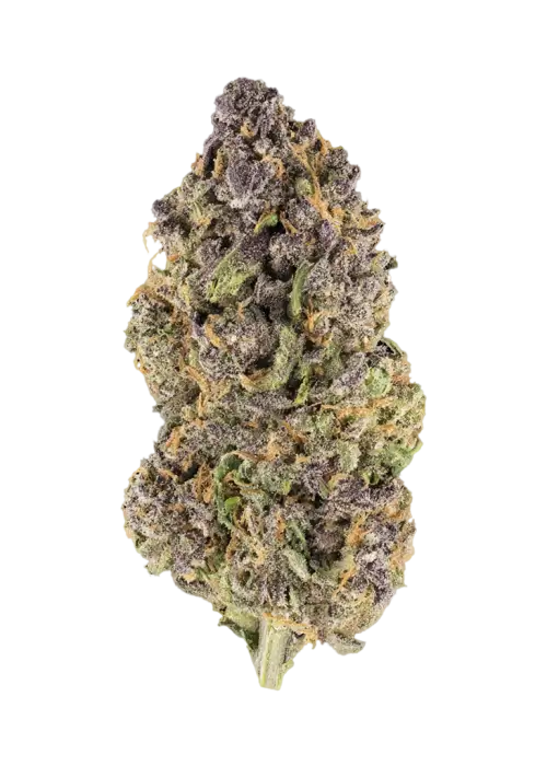 Cherry Breeze