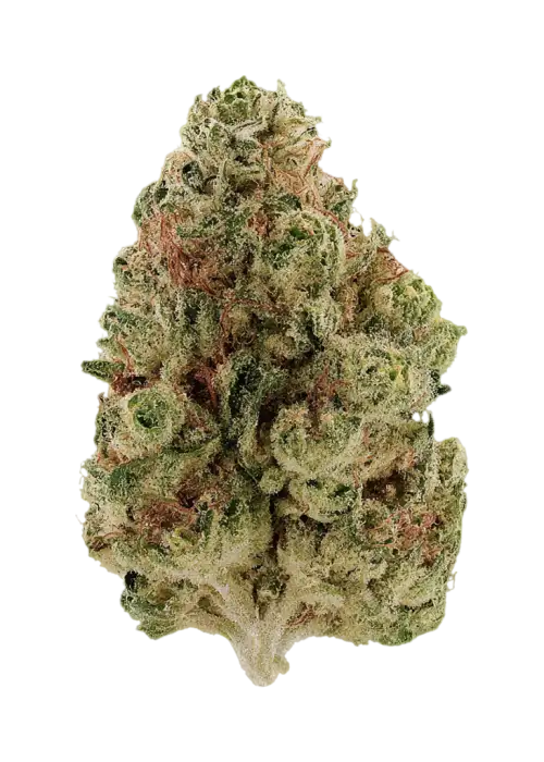 Sour TK