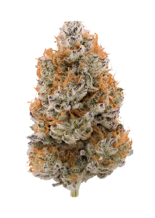 Honey Papaya