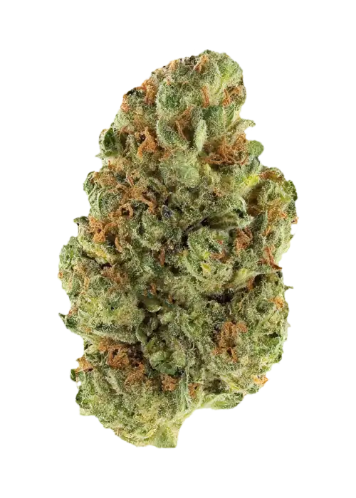 Sour Sister