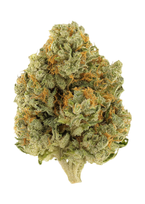 Nigerian Chem