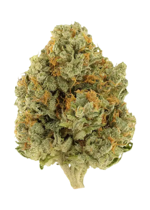 Nigerian Chem