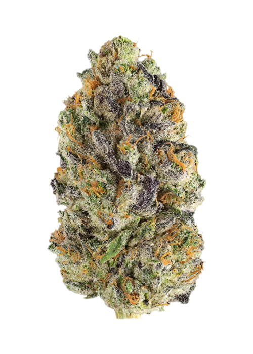 Cherry Crush by Byrd Seed