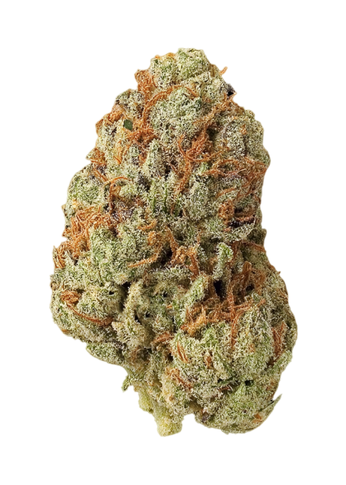 Cheddar Blossom