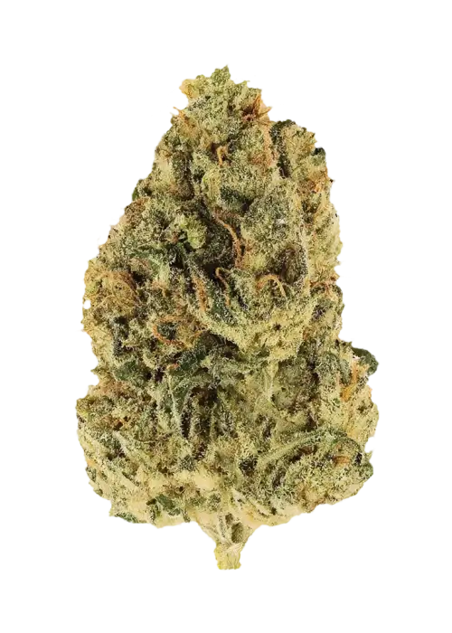 Sour PK