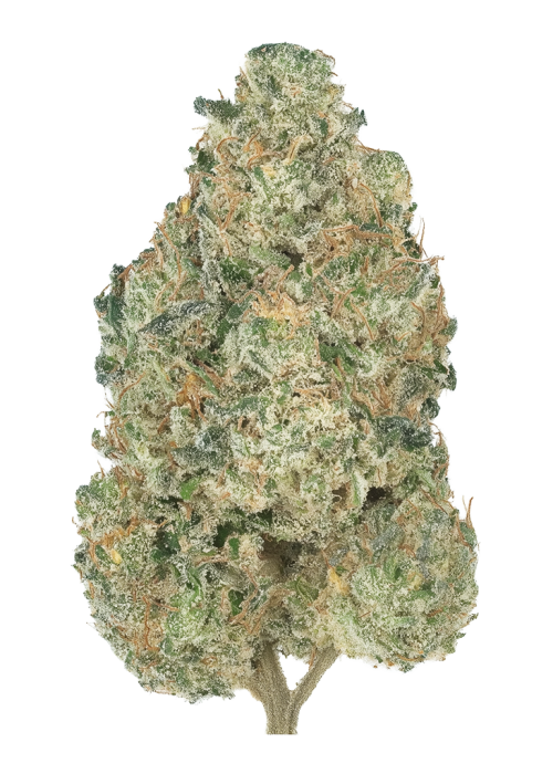 Club Kush