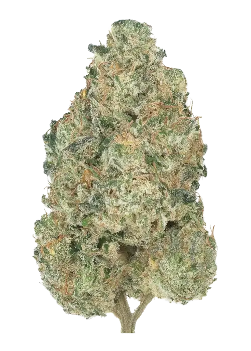 Club Kush