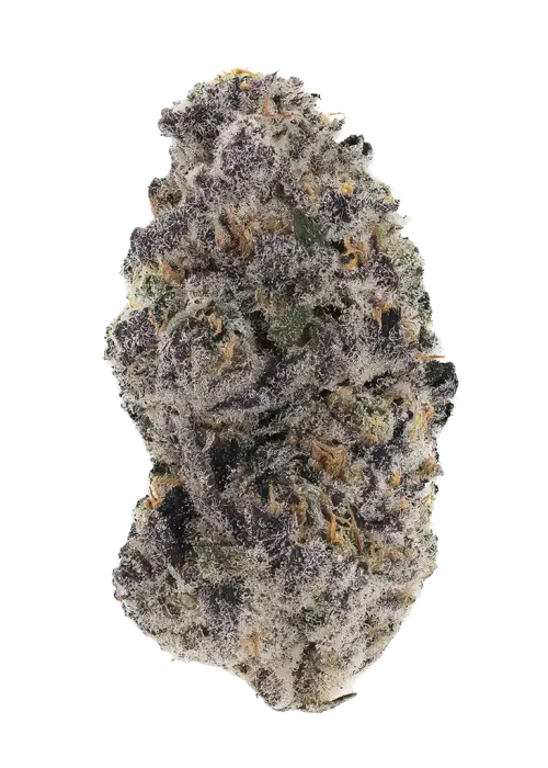 Flavor Burst