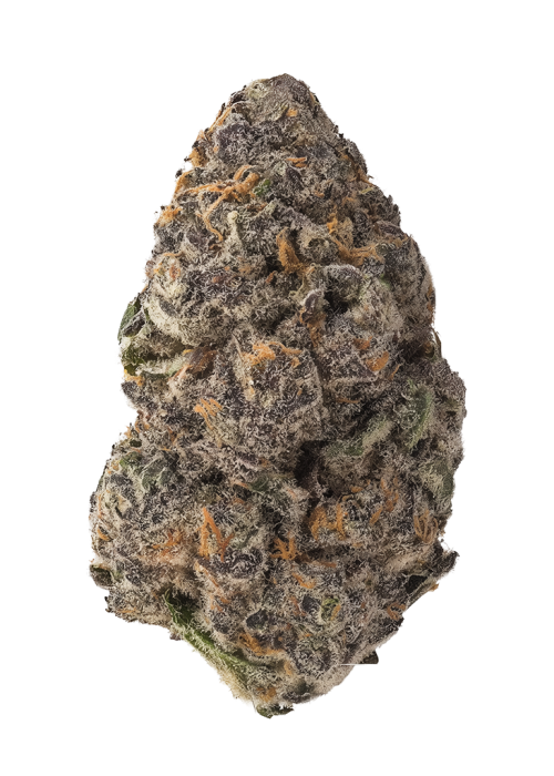 The Gozer OG