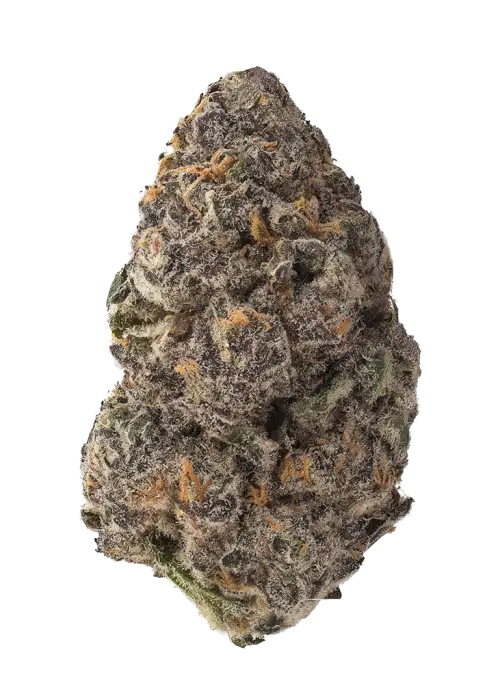The Gozer OG