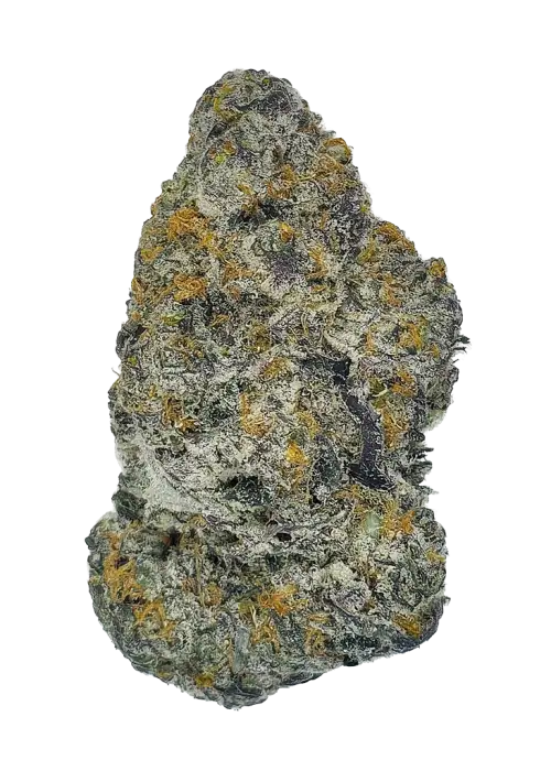 Black Market