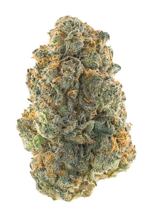 GMO Auto