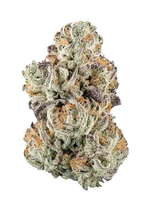 Butterscotch Banana S1