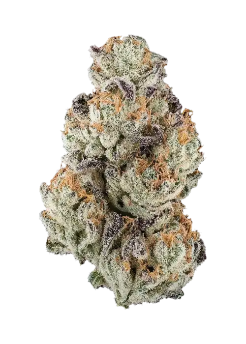 Butterscotch Banana IX