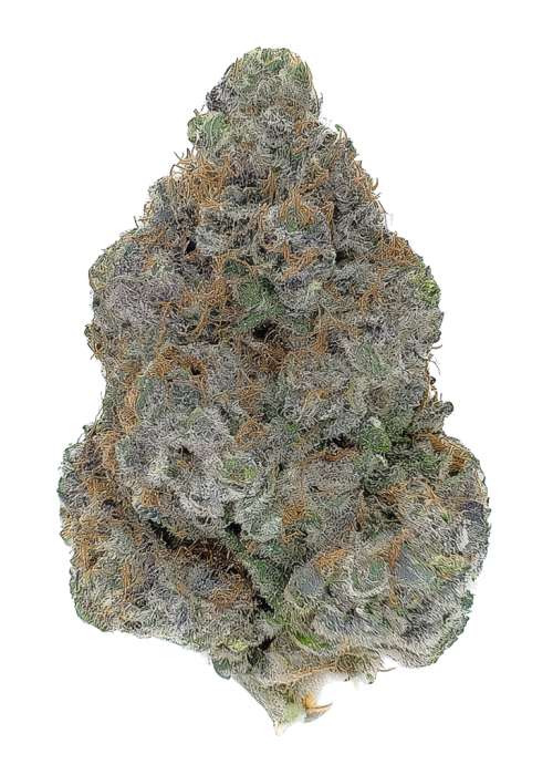 California