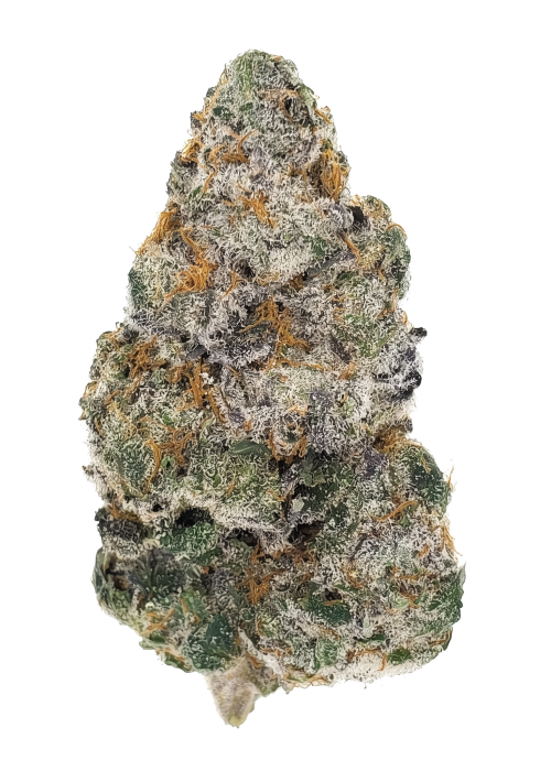 Banana Cookie Kush